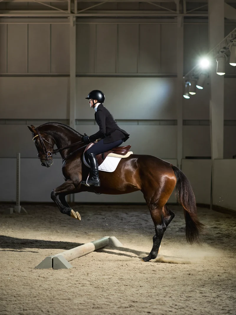 Rytter og hest over et lavt trækryds i ridehallen